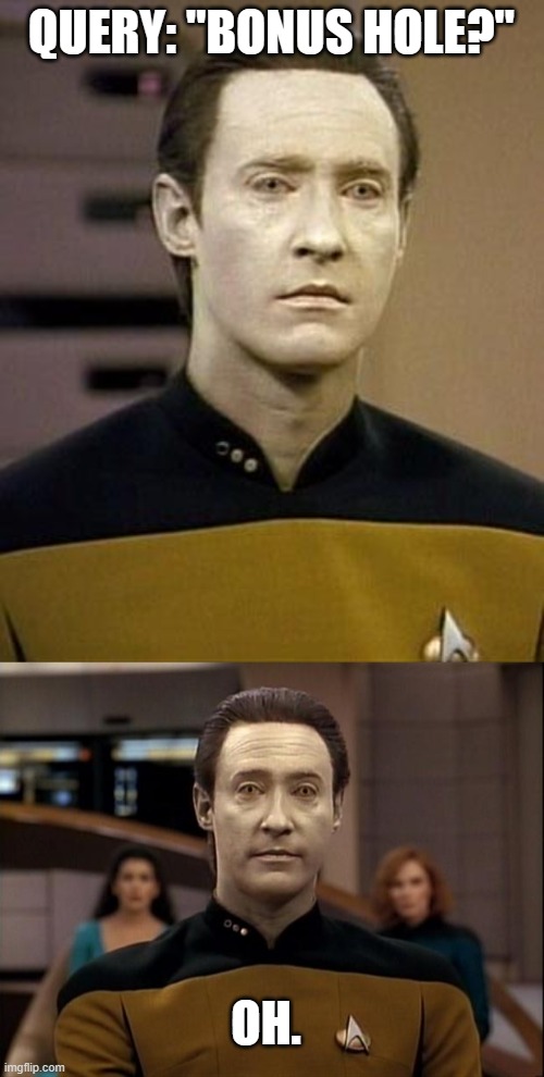 QUERY: "BONUS HOLE?" OH. | image tagged in data,star trek data | made w/ Imgflip meme maker