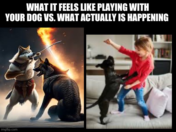 This is true | WHAT IT FEELS LIKE PLAYING WITH YOUR DOG VS. WHAT ACTUALLY IS HAPPENING | image tagged in funny dogs | made w/ Imgflip meme maker