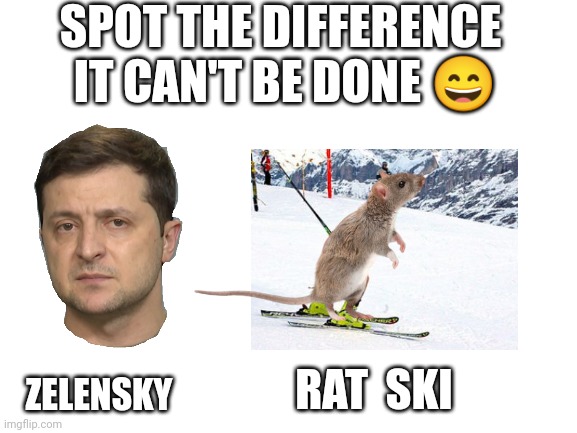 Blank White Template | ZELENSKY RAT  SKI SPOT THE DIFFERENCE  IT CAN'T BE DONE ? | image tagged in blank white template | made w/ Imgflip meme maker