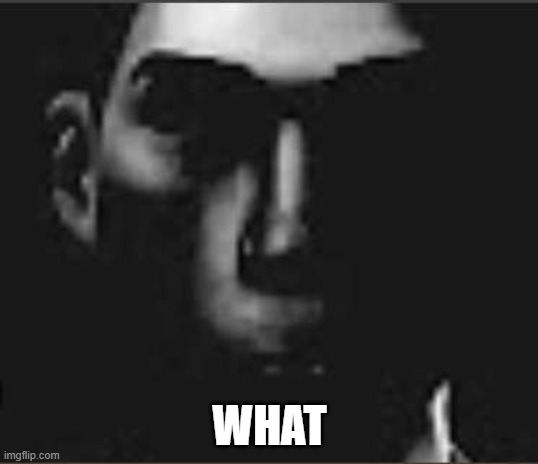 what | WHAT | image tagged in what | made w/ Imgflip meme maker