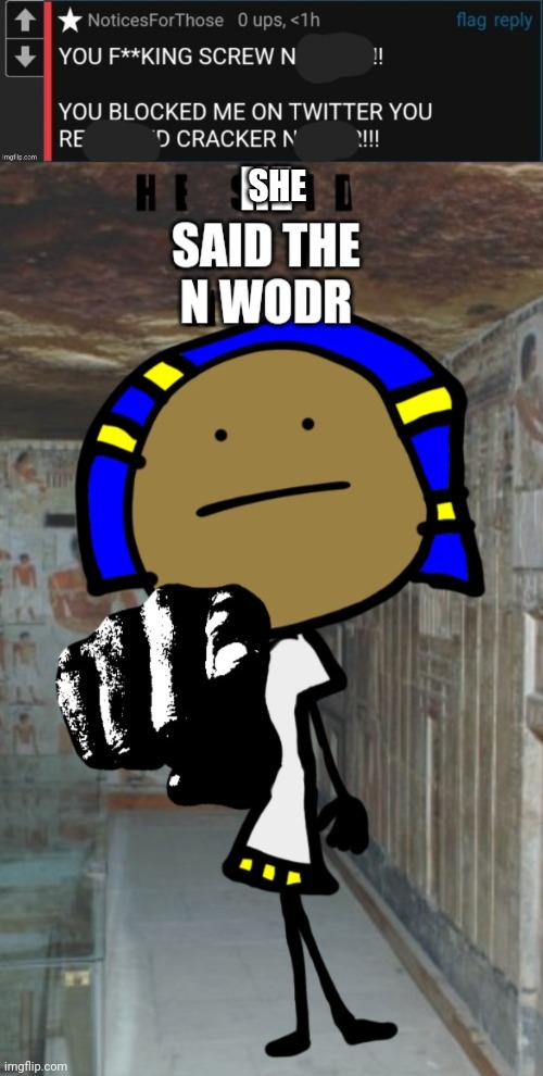 She said the n wodr (blue) | SHE | image tagged in blue n wodr,he said the n wodr | made w/ Imgflip meme maker