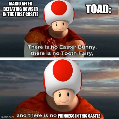 Mario Comedy: | MARIO AFTER DEFEATING BOWSER IN THE FIRST CASTLE; TOAD:; PRINCESS IN THIS CASTLE | image tagged in tighten megamind there is no easter bunny | made w/ Imgflip meme maker