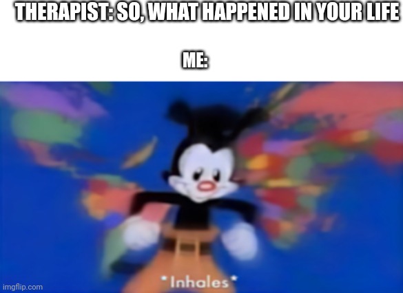 Yakko inhale | THERAPIST: SO, WHAT HAPPENED IN YOUR LIFE; ME: | image tagged in yakko inhale | made w/ Imgflip meme maker