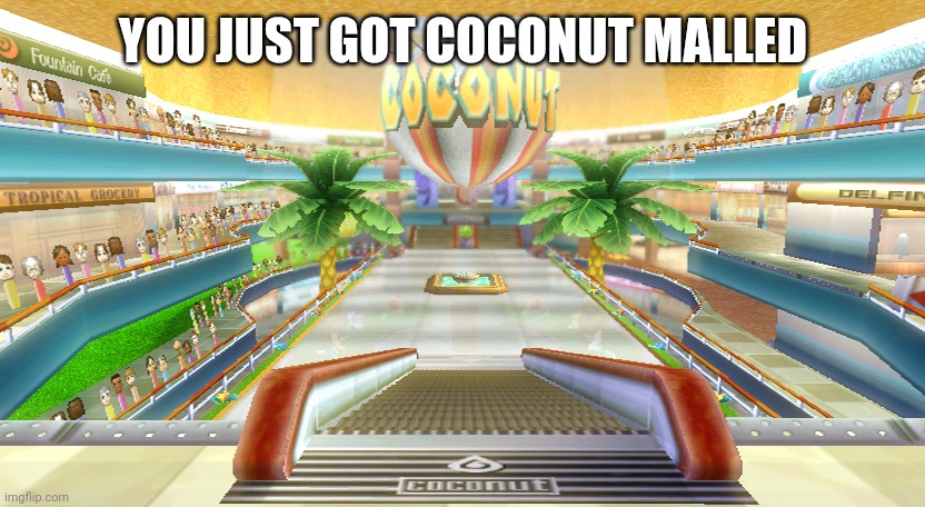 Coconut Mall | YOU JUST GOT COCONUT MALLED | image tagged in coconut mall | made w/ Imgflip meme maker