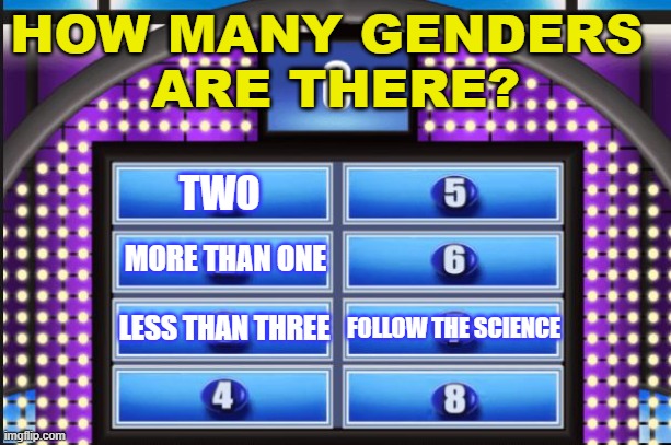 Family Feud | HOW MANY GENDERS 
ARE THERE? TWO; MORE THAN ONE; LESS THAN THREE; FOLLOW THE SCIENCE | image tagged in family feud,genders | made w/ Imgflip meme maker