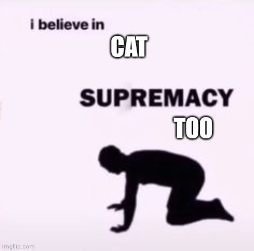 CAT TOO | image tagged in i believe in supremacy | made w/ Imgflip meme maker