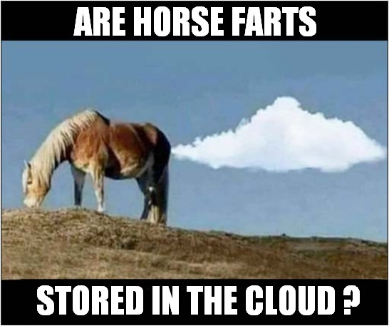Question On Horse Flatulence  ! | ARE HORSE FARTS; STORED IN THE CLOUD ? | image tagged in horses,farts,cloud | made w/ Imgflip meme maker