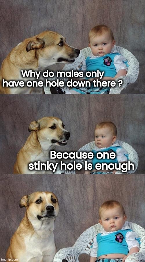 Dad Joke Dog Meme | Why do males only have one hole down there ? Because one stinky hole is enough | image tagged in memes,dad joke dog | made w/ Imgflip meme maker