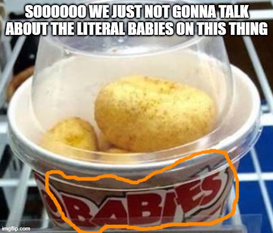 SOOOOOO WE JUST NOT GONNA TALK ABOUT THE LITERAL BABIES ON THIS THING | made w/ Imgflip meme maker