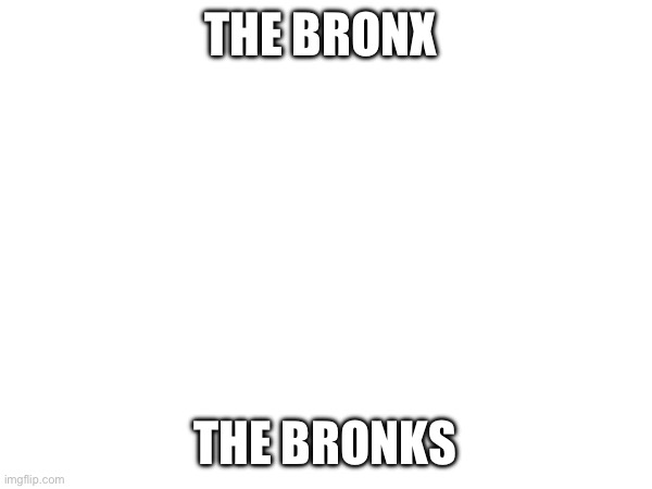 Bronks | THE BRONX; THE BRONKS | made w/ Imgflip meme maker