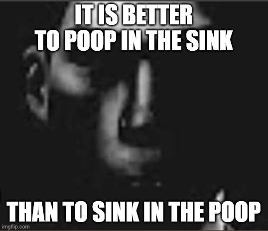 what | IT IS BETTER TO POOP IN THE SINK; THAN TO SINK IN THE POOP | image tagged in what | made w/ Imgflip meme maker