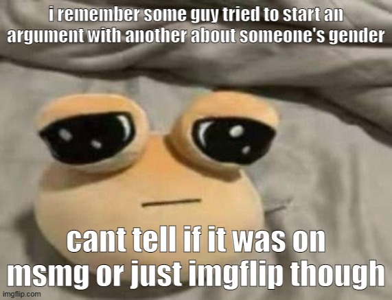 not like "X gender does not exist" like "is this mf a boy or a girl???" "no its a girl" "tfym hes not" shit | i remember some guy tried to start an argument with another about someone's gender; cant tell if it was on msmg or just imgflip though | made w/ Imgflip meme maker