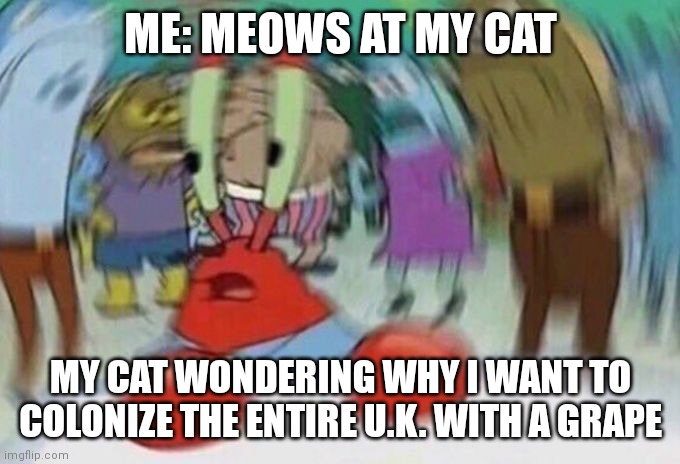 Mr Crabs | ME: MEOWS AT MY CAT; MY CAT WONDERING WHY I WANT TO COLONIZE THE ENTIRE U.K. WITH A GRAPE | image tagged in mr crabs | made w/ Imgflip meme maker