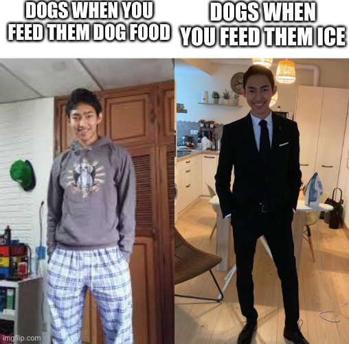 Fernanfloo Dresses Up | DOGS WHEN YOU FEED THEM DOG FOOD; DOGS WHEN YOU FEED THEM ICE | image tagged in fernanfloo dresses up | made w/ Imgflip meme maker