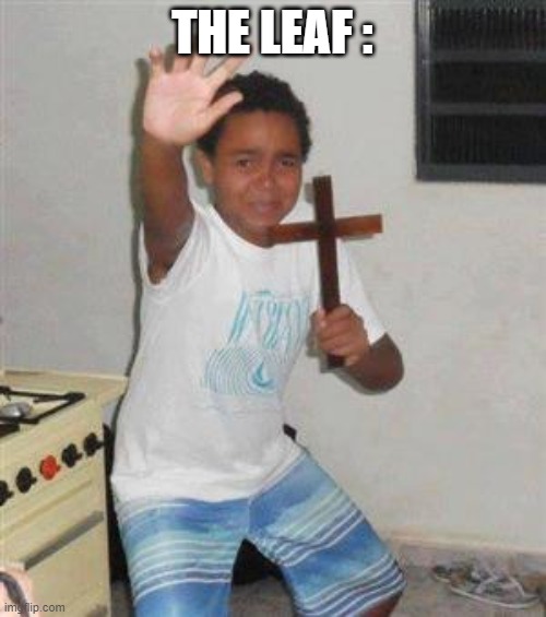 Scared Kid | THE LEAF : | image tagged in scared kid | made w/ Imgflip meme maker