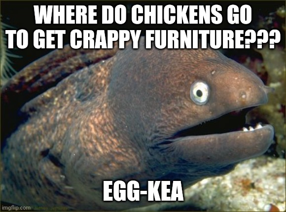 Egg-kea | WHERE DO CHICKENS GO TO GET CRAPPY FURNITURE??? EGG-KEA | image tagged in memes,bad joke eel | made w/ Imgflip meme maker