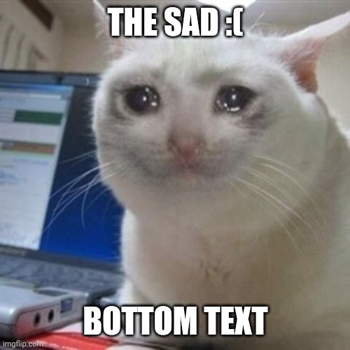 Crying cat | THE SAD :( BOTTOM TEXT | image tagged in crying cat | made w/ Imgflip meme maker