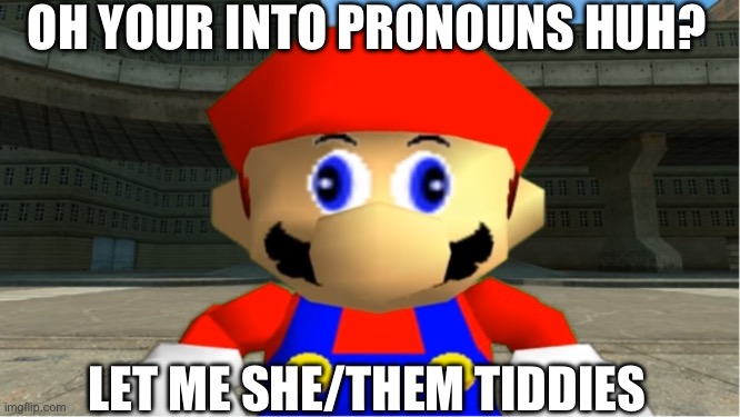 I hope this doesn’t make people mad | OH YOUR INTO PRONOUNS HUH? LET ME SHE/THEM TIDDIES | image tagged in smg4 mario derp reaction | made w/ Imgflip meme maker