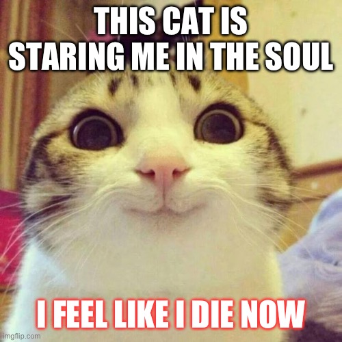 Smiling Cat | THIS CAT IS STARING ME IN THE SOUL; I FEEL LIKE I DIE NOW | image tagged in memes,smiling cat | made w/ Imgflip meme maker