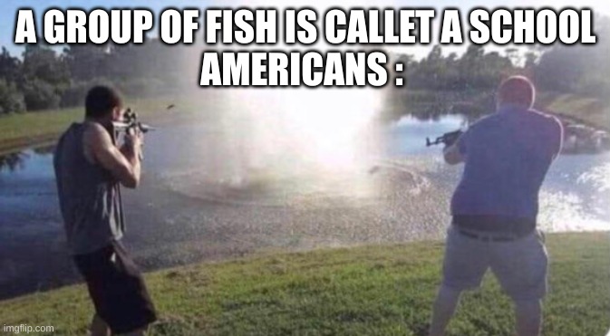 A GROUP OF FISH IS CALLET A SCHOOL
AMERICANS : | image tagged in funny memes,america | made w/ Imgflip meme maker