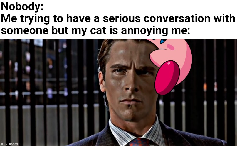 Patrick Bateman Staring | Nobody:
Me trying to have a serious conversation with someone but my cat is annoying me: | image tagged in patrick bateman staring,cats | made w/ Imgflip meme maker