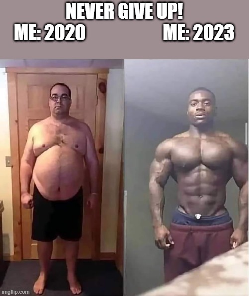 fun | NEVER GIVE UP!
ME: 2020                      ME: 2023 | image tagged in funny memes | made w/ Imgflip meme maker