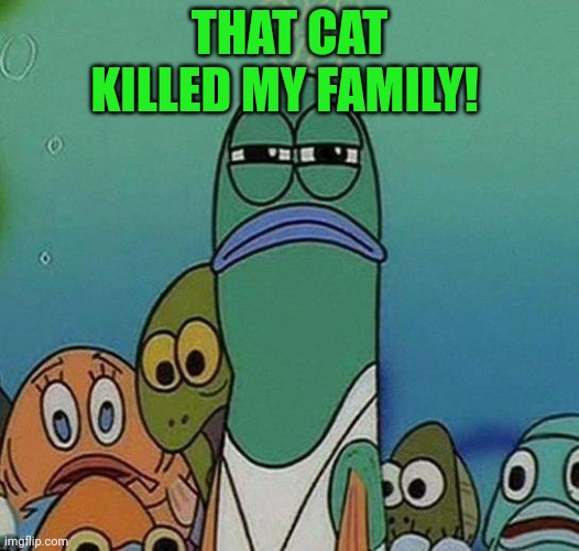 SpongeBob | THAT CAT KILLED MY FAMILY! | image tagged in spongebob | made w/ Imgflip meme maker