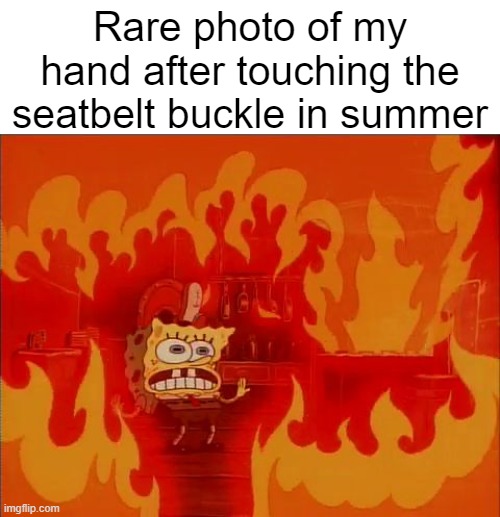 It's not just the western US states, we're burning up here in Canada too | Rare photo of my hand after touching the seatbelt buckle in summer | image tagged in burning spongebob | made w/ Imgflip meme maker