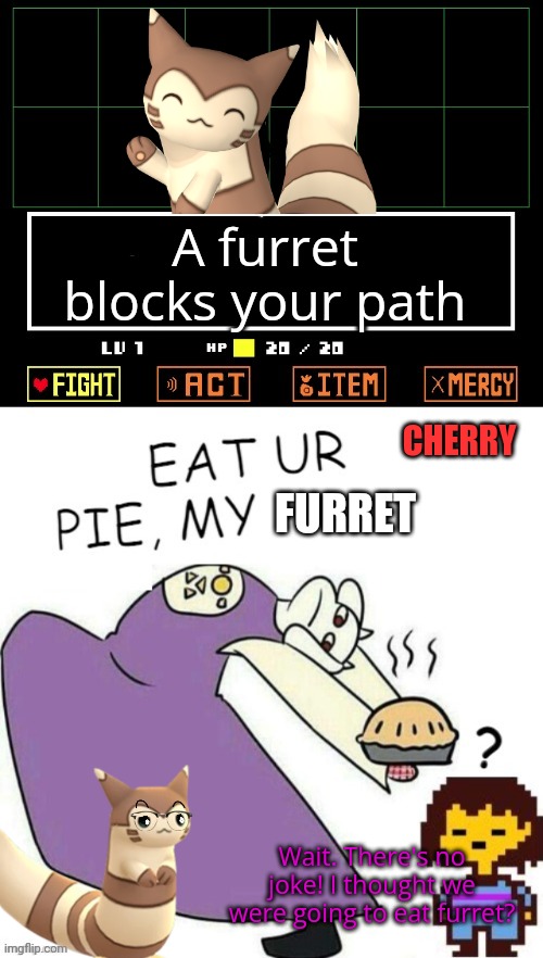 Throwback Thursday | A furret blocks your path; CHERRY; FURRET; Wait. There's no joke! I thought we were going to eat furret? | image tagged in toriel makes pies,but why why would you do that,furret,undertale - toriel | made w/ Imgflip meme maker