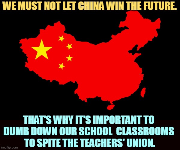 Yeah, that works. | WE MUST NOT LET CHINA WIN THE FUTURE. THAT'S WHY IT'S IMPORTANT TO 
DUMB DOWN OUR SCHOOL  CLASSROOMS 
TO SPITE THE TEACHERS' UNION. | image tagged in americans,hate,knowledge,intelligence,teachers,schools | made w/ Imgflip meme maker