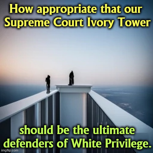 If you're not rich, white and male, don't bother us. | How appropriate that our 
Supreme Court Ivory Tower; should be the ultimate defenders of White Privilege. | image tagged in supreme court,ivory tower,white privilege,rich,male | made w/ Imgflip meme maker