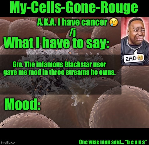 My-Cells-Gone-Rouge announcement | Gm. The infamous Blackstar user gave me mod in three streams he owns. | image tagged in my-cells-gone-rouge announcement | made w/ Imgflip meme maker