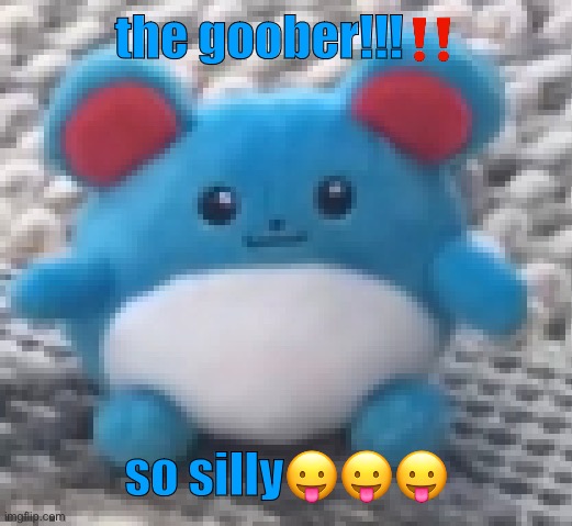 Marill 6 | the goober!!!‼️; so silly😛😛😛 | image tagged in marill 6 | made w/ Imgflip meme maker