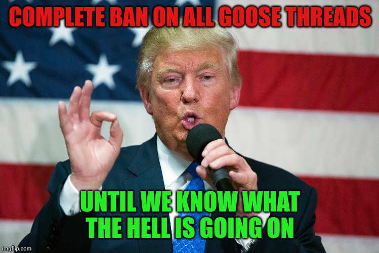COMPLETE BAN ON ALL GOOSE THREADS; UNTIL WE KNOW WHAT THE HELL IS GOING ON | made w/ Imgflip meme maker