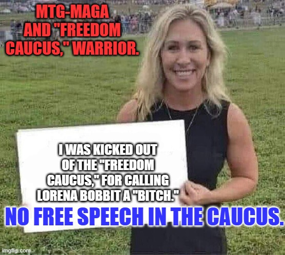 Loyalty to the extreme right is not rewarded by loyalty in return. Ask Michael Cohen. | MTG-MAGA AND "FREEDOM CAUCUS," WARRIOR. I WAS KICKED OUT OF THE "FREEDOM CAUCUS," FOR CALLING LORENA BOBBIT A "BITCH."; NO FREE SPEECH IN THE CAUCUS. | image tagged in marjorie taylor greene | made w/ Imgflip meme maker