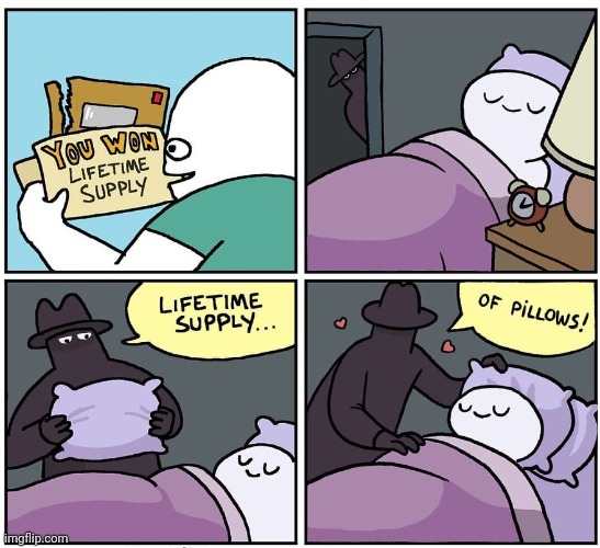 A lifetime supply of pillows | image tagged in lifetime,supply,pillows,pillow,comics,comics/cartoons | made w/ Imgflip meme maker