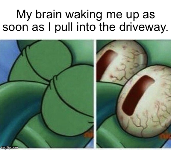 It’s just crazy | My brain waking me up as soon as I pull into the driveway. | image tagged in squidward,sleep,in,the,car | made w/ Imgflip meme maker