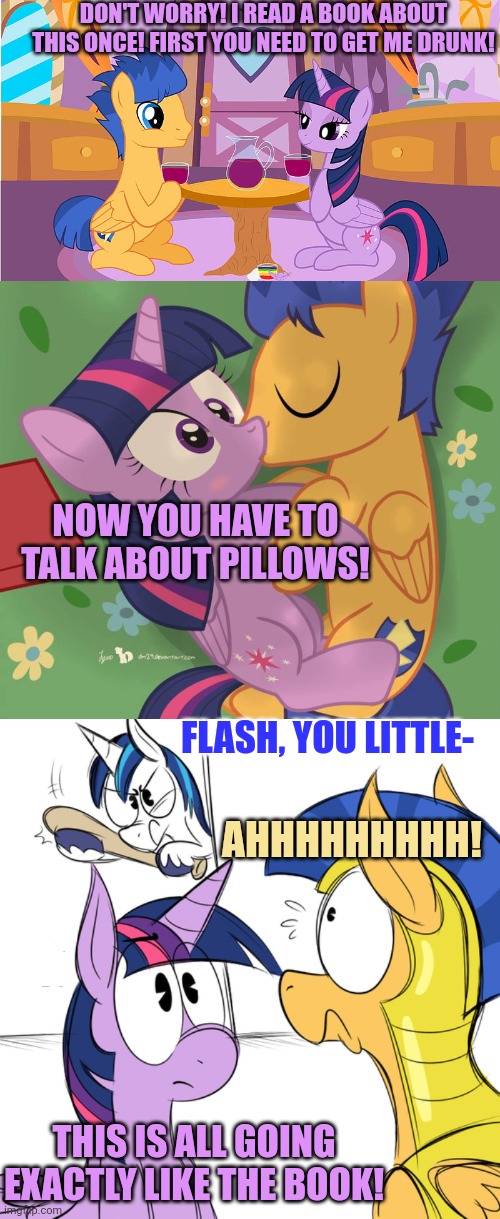 Twilight's dream date | DON'T WORRY! I READ A BOOK ABOUT THIS ONCE! FIRST YOU NEED TO GET ME DRUNK! NOW YOU HAVE TO TALK ABOUT PILLOWS! FLASH, YOU LITTLE-; AHHHHHHHHH! THIS IS ALL GOING EXACTLY LIKE THE BOOK! | image tagged in twilight sparkle,flash sentry | made w/ Imgflip meme maker