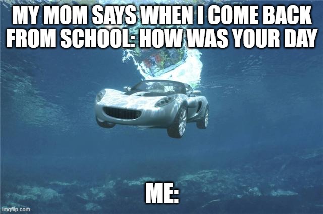what my life is | MY MOM SAYS WHEN I COME BACK FROM SCHOOL: HOW WAS YOUR DAY; ME: | image tagged in bruh moment | made w/ Imgflip meme maker