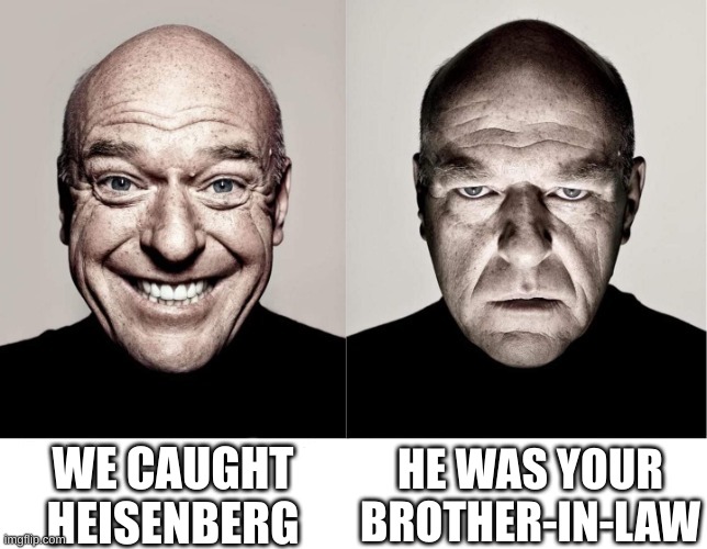 breaking bad smile frown | HE WAS YOUR BROTHER-IN-LAW; WE CAUGHT HEISENBERG | image tagged in breaking bad smile frown | made w/ Imgflip meme maker