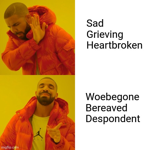When simple ain't do for you | Sad
Grieving 
Heartbroken; Woebegone 
Bereaved
Despondent | image tagged in memes,drake hotline bling,writer,writing,british,english | made w/ Imgflip meme maker