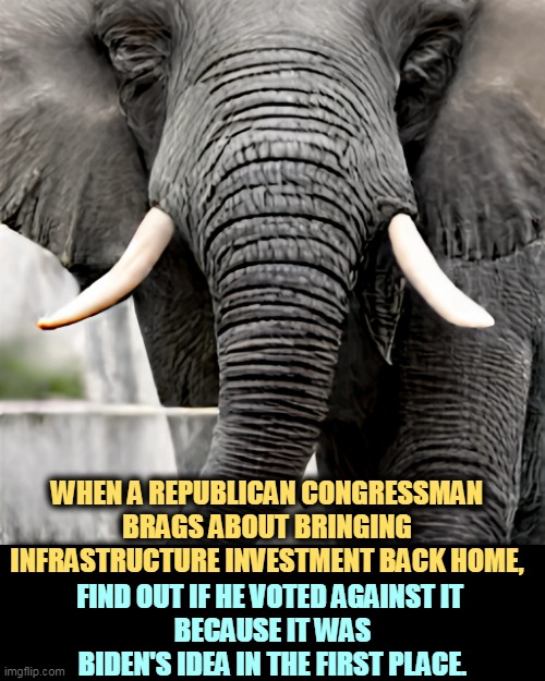 WHEN A REPUBLICAN CONGRESSMAN BRAGS ABOUT BRINGING INFRASTRUCTURE INVESTMENT BACK HOME, FIND OUT IF HE VOTED AGAINST IT 
BECAUSE IT WAS BIDEN'S IDEA IN THE FIRST PLACE. | image tagged in republican,politicians,bragging,biden,infrastructure,bill | made w/ Imgflip meme maker