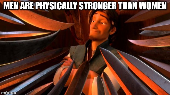 Flynn rider swords | MEN ARE PHYSICALLY STRONGER THAN WOMEN | image tagged in flynn rider swords | made w/ Imgflip meme maker