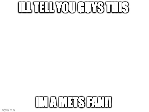 im not kidding | ILL TELL YOU GUYS THIS; IM A METS FAN!! | image tagged in instagram,tik tok | made w/ Imgflip meme maker