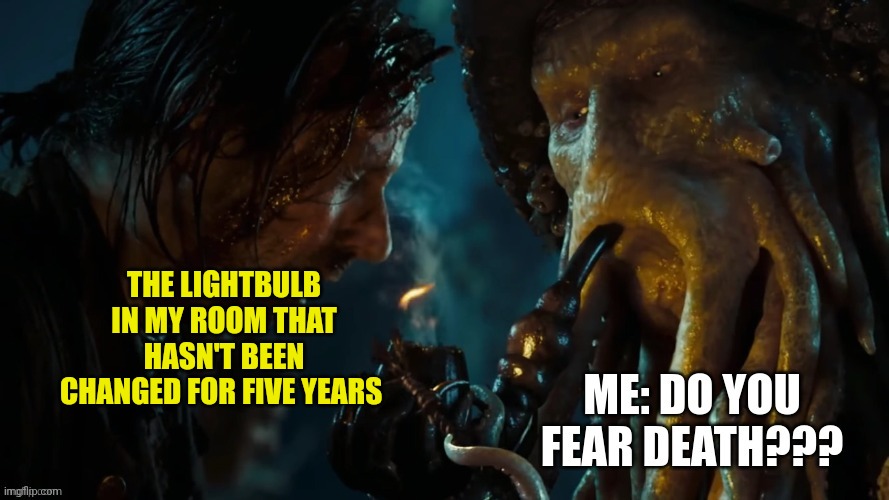 Old lightbulb | THE LIGHTBULB IN MY ROOM THAT HASN'T BEEN CHANGED FOR FIVE YEARS | image tagged in do you fear death | made w/ Imgflip meme maker