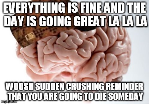 Scumbag Brain Meme | EVERYTHING IS FINE AND THE DAY IS GOING GREAT LA LA LA WOOSH SUDDEN CRUSHING REMINDER THAT YOU ARE GOING TO DIE SOMEDAY | image tagged in memes,scumbag brain,AdviceAnimals | made w/ Imgflip meme maker