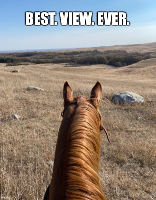 O beautiful for spacious skies | BEST. VIEW. EVER. | image tagged in meme,horse,best view ever,ranch ride | made w/ Imgflip meme maker