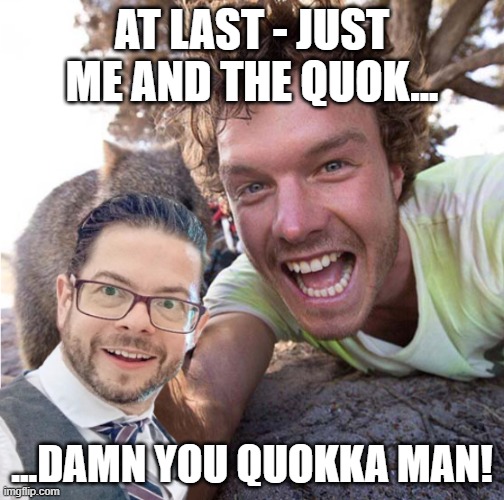 Selfie with the Quokka Man | AT LAST - JUST ME AND THE QUOK... ...DAMN YOU QUOKKA MAN! | image tagged in quokka,selfie | made w/ Imgflip meme maker