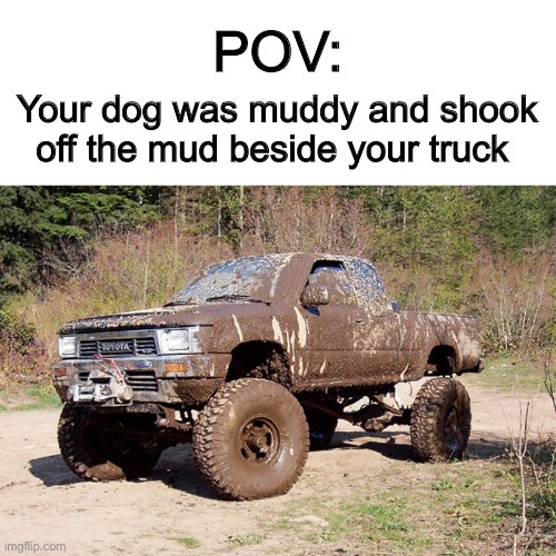 The mess gets everywhere :P | POV:; Your dog was muddy and shook off the mud beside your truck | image tagged in muddy toyota | made w/ Imgflip meme maker