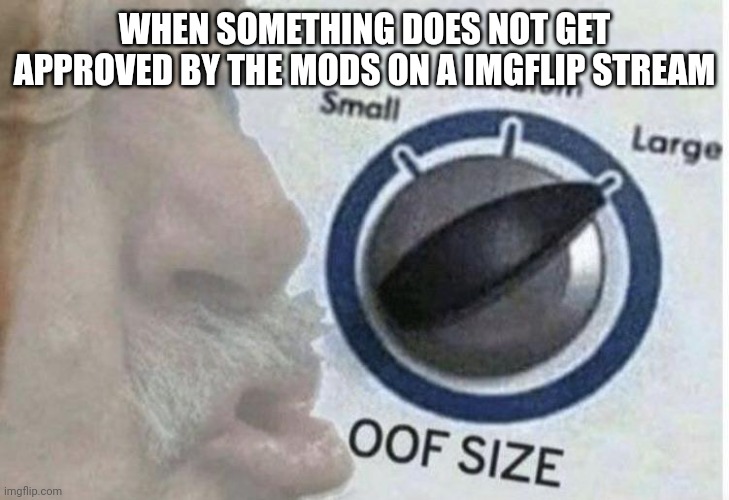 Oof size large | WHEN SOMETHING DOES NOT GET APPROVED BY THE MODS ON A IMGFLIP STREAM | image tagged in oof size large | made w/ Imgflip meme maker